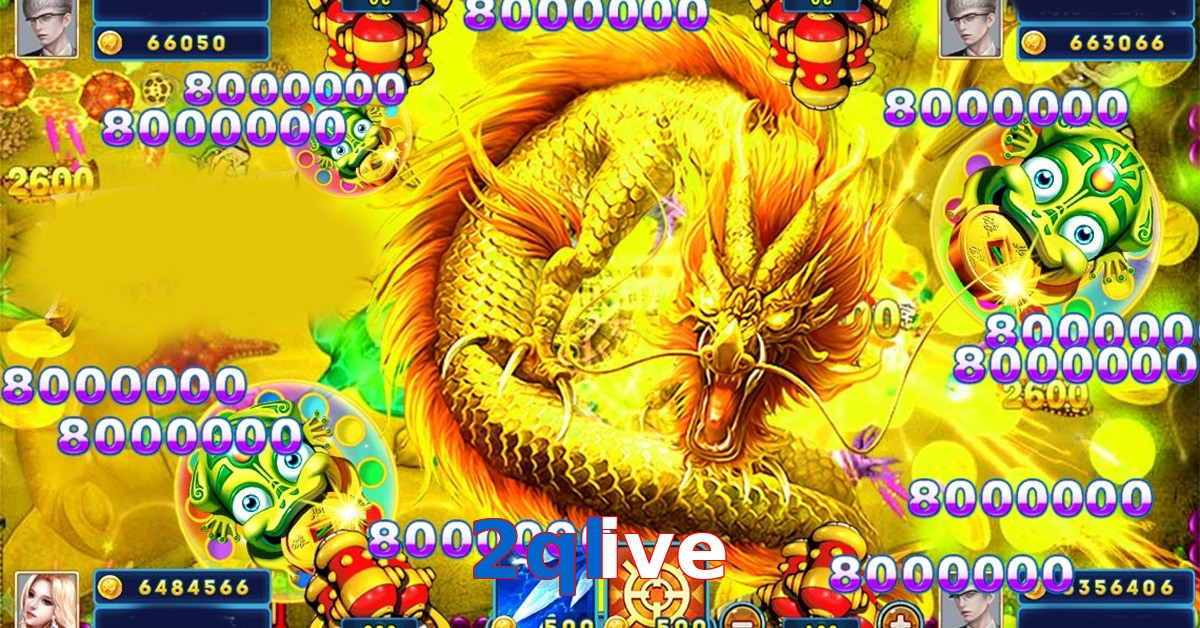 2qlive