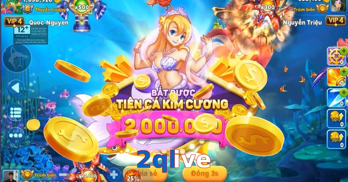 2qlive