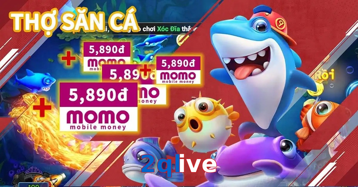 2qlive
