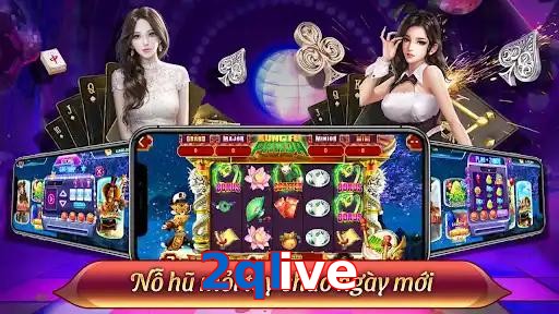 2qlive