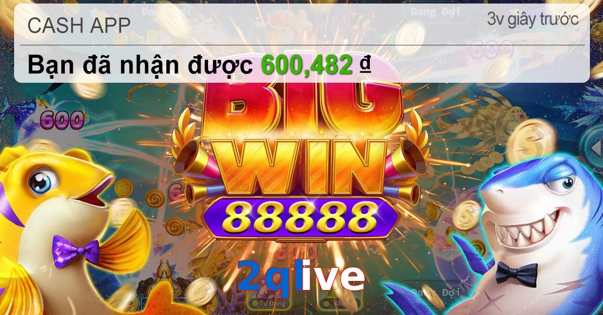 2qlive