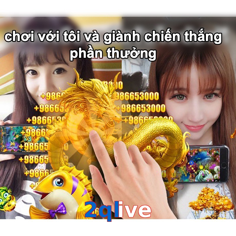 2qlive